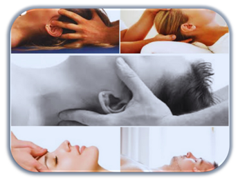 51307be5-9032-4322-b4ee-8fa7c166e723 51307be5-9032-4322-b4ee-8fa7c166e723