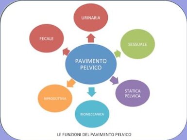 a2e6e274-df62-4794-8776-ec0e89a576da a2e6e274-df62-4794-8776-ec0e89a576da