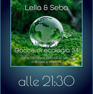 template%2045%20sigona%20(1)
