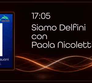 template%20red%20jazz%20e%20dintorni