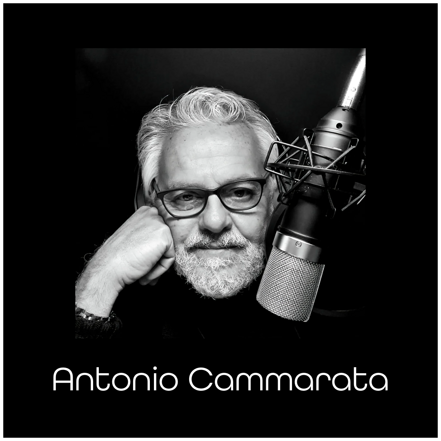 antonio cammarata antonio cammarata