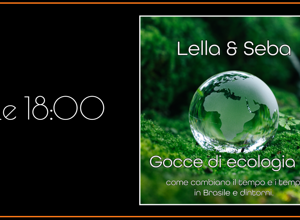 template%20black%20tee%20(6)