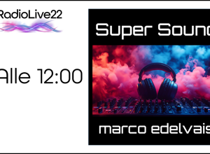 template%20parole%202026%20(1)