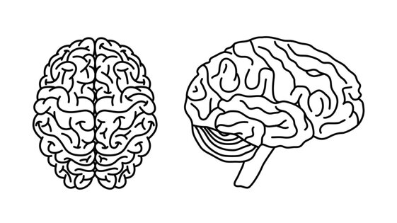 28632198-d2ef-4dff-8543-2bbd3ad485a3.jpeg 28632198-d2ef-4dff-8543-2bbd3ad485a3.jpeg