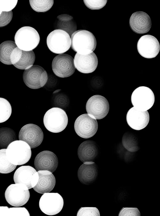 76267285-37c4-4473-9f4e-dcfc5ad1679f