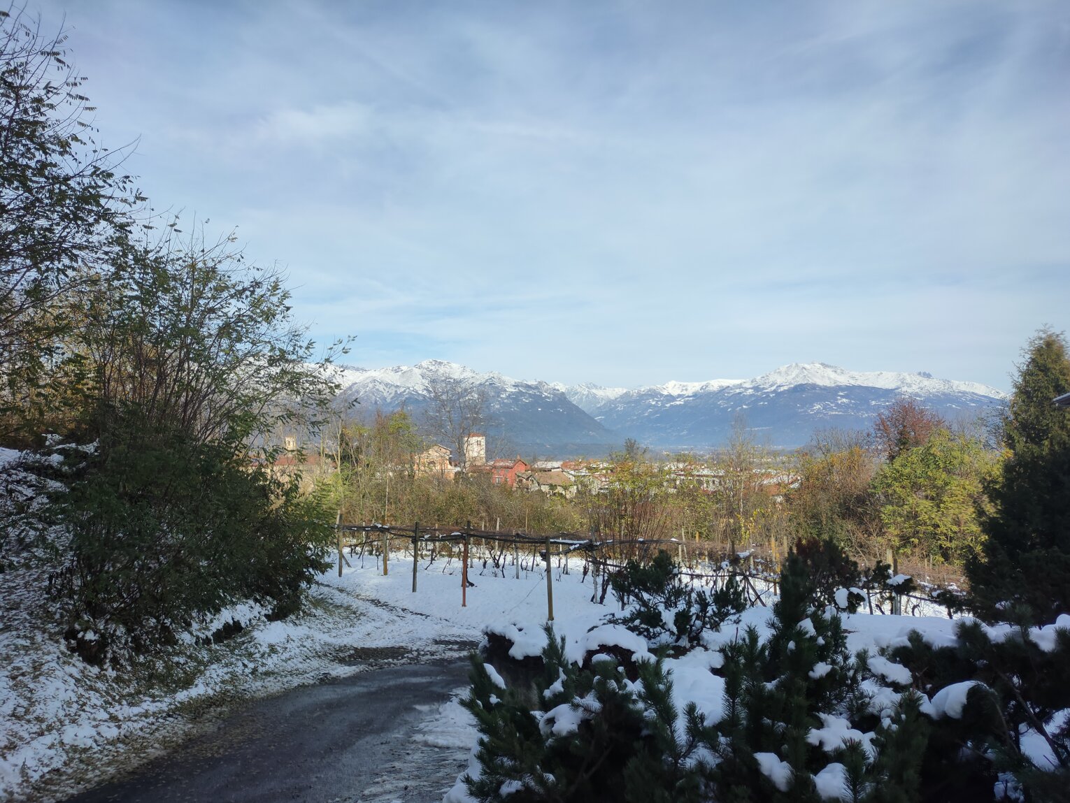 Panorama