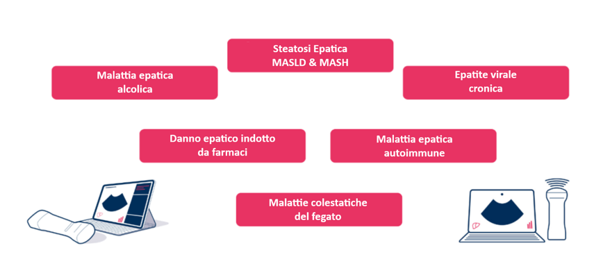 fe63cdfc-e901-4b53-ba3f-d24bf3ec89e1 fe63cdfc-e901-4b53-ba3f-d24bf3ec89e1