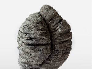 Terracotta refrattaria nera, 41x23cm