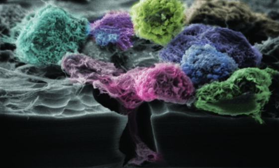 8b192a90-fbc9-43b9-a641-cfcf6e4617e0