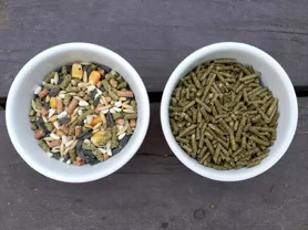 xpellets_per_conigli.pagespeed.ic.xvkf4kzrj0