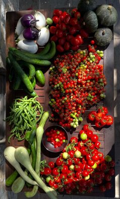 whatsapp image 2026-02-13 at 21.45.09.jpeg