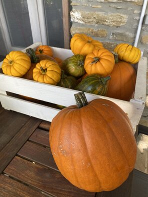 2024-10-27 10.58.48.jpeg