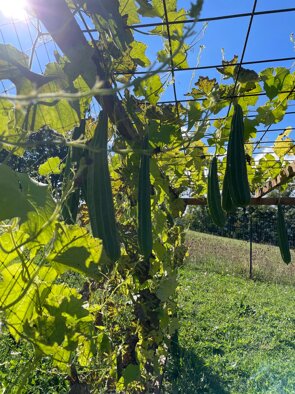 whatsapp image 2026-02-13 at 21.16.49.jpeg