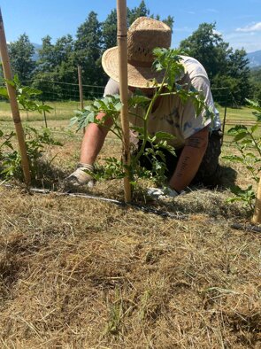 whatsapp image 2026-02-13 at 21.03.27.jpeg