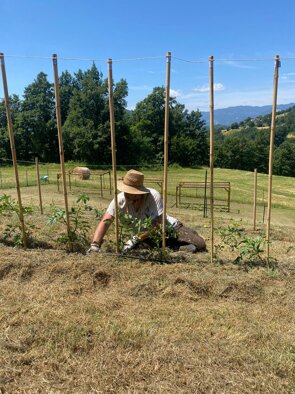 whatsapp image 2026-02-13 at 21.00.56.jpeg