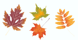 b34f0811-6dc2-4e9a-a018-afb4949eae1d