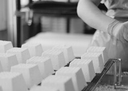 029c4e1c-bdc3-4379-a68f-743d297cabb0.jpeg 029c4e1c-bdc3-4379-a68f-743d297cabb0.jpeg