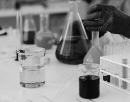 2e055883-bf6c-4bf6-8392-965ad7bab748.jpeg 2e055883-bf6c-4bf6-8392-965ad7bab748.jpeg