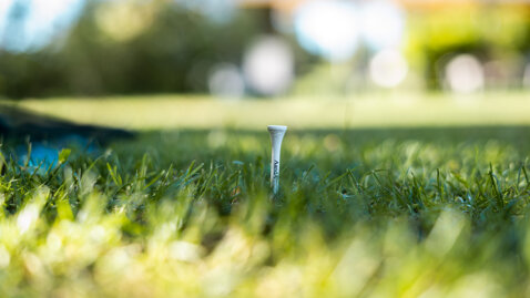 946aad80-0b79-48b8-8e4c-88e19942e80f