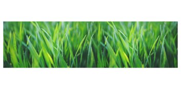 come si usa la regola dei 5-20 cm perché il nostro prodotto non emana i cattivi odori tipici dei concimi organici la chiave è l'interramento. (9).jpeg