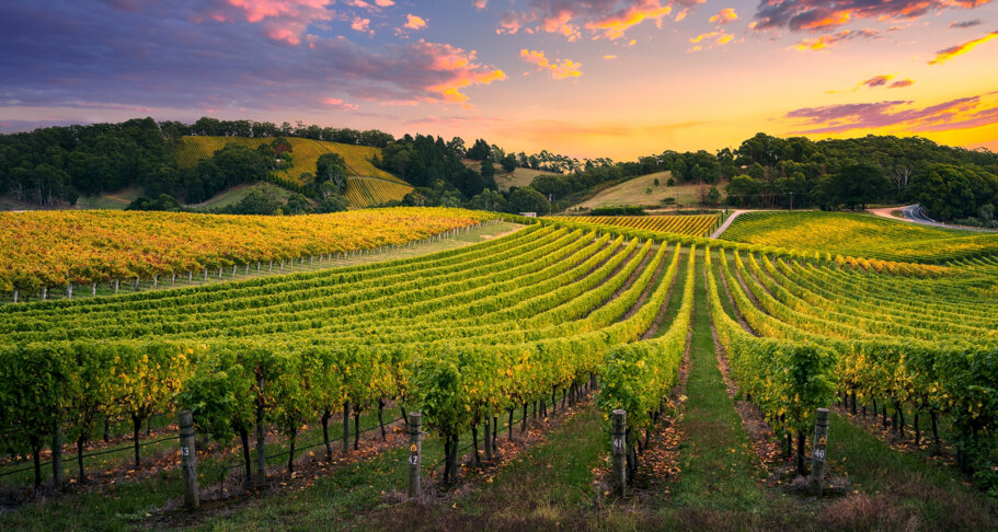 4e68a264-0806-41f1-8eb0-7bc0fe43ab83