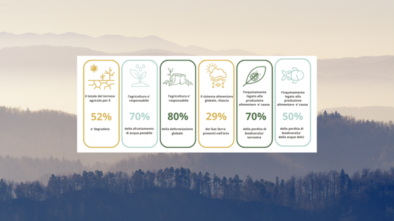 554ee273-4108-414f-bbc7-d495a1650478