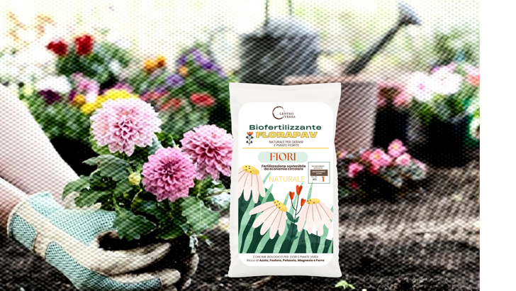 5039d086-71c1-4ecf-8026-59a79b23eaae 5039d086-71c1-4ecf-8026-59a79b23eaae