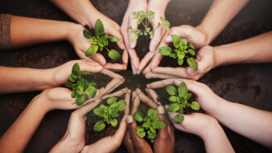 8fbce580-0664-40ba-b293-4123e8d75206 8fbce580-0664-40ba-b293-4123e8d75206