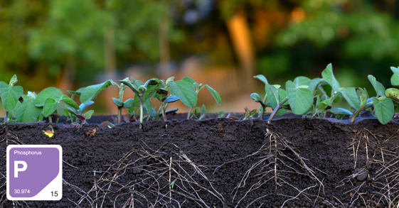 be517646-f3e4-43ef-804e-d95bf34624d4