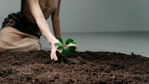 98f38c0e-85d0-49bd-a4ae-84717f6f2bf0