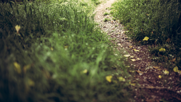 9ae39bcf-88e8-480c-a418-2d594b27772a 9ae39bcf-88e8-480c-a418-2d594b27772a