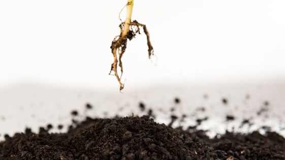 e94130f7-f9e0-4e02-946d-f37967b6d8a5 e94130f7-f9e0-4e02-946d-f37967b6d8a5