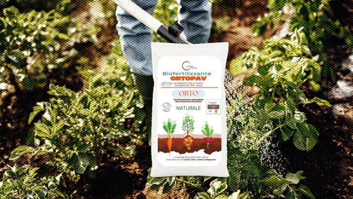 229dca1e-c092-41b0-aad8-bc5189cd1f6c 229dca1e-c092-41b0-aad8-bc5189cd1f6c