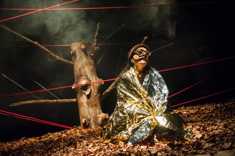 Walter - i boschi a nord del futuro Walter - i boschi a nord del futuro