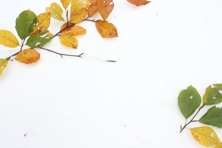 bb8d96ed-ff02-48be-9718-1ad70645f3db