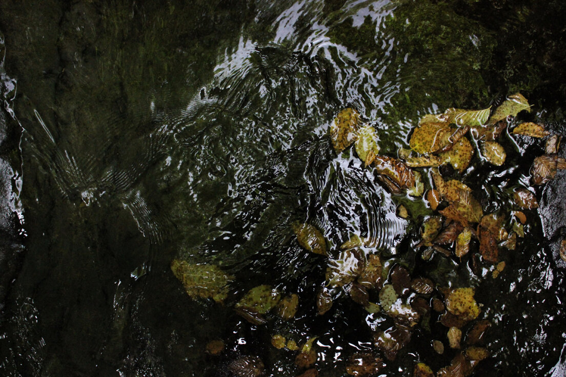 fd25756a-0e81-4b24-92f1-560ce5d5311e fd25756a-0e81-4b24-92f1-560ce5d5311e