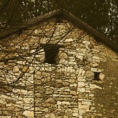 08f82a89-43b5-450c-93ab-7cd42a1fa1a4