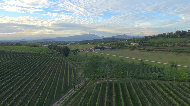 af0c4e18-6860-46f4-82fe-37a6625ec476