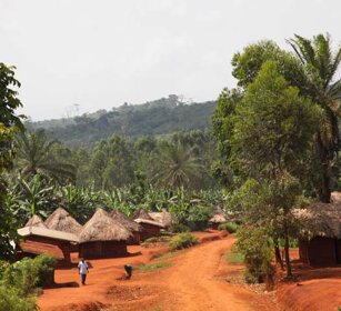 Paradiso D'Africa Congo 2010