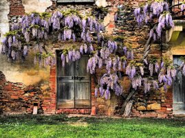 cdb95dd7-735f-4f92-a2fa-921a05a68575