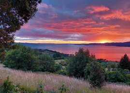 3a3f6311-edc7-42e5-8e59-d388923978cd.jpeg 3a3f6311-edc7-42e5-8e59-d388923978cd.jpeg