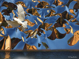 a842b946-9614-42e4-934d-e51aaa20531d