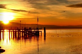 978b9499-e7a1-4c15-b364-dd0d3cef3e9b