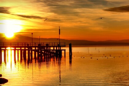 978b9499-e7a1-4c15-b364-dd0d3cef3e9b