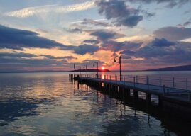 6a50b28f-9ed6-48e7-877e-2fe3ed3886a0