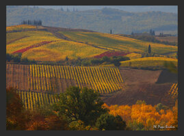 56187858-0fc4-44f3-93e5-9c15ecde373d