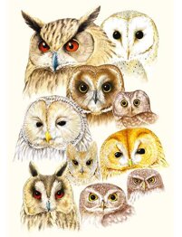 7d88036c-f29d-4dd7-a852-f88828b3c198 7d88036c-f29d-4dd7-a852-f88828b3c198