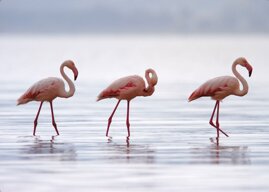 0f50aad0-b20c-48a8-88dc-84376186a584