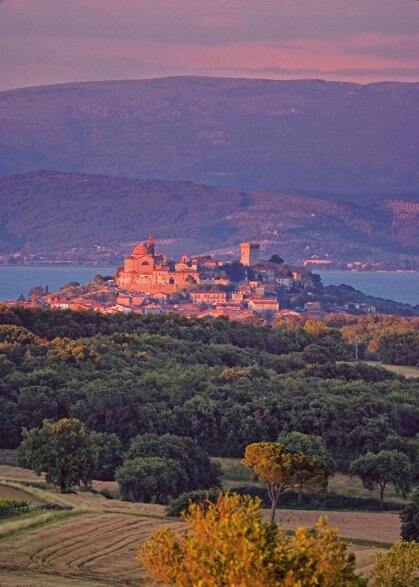 347b8cc2-9fe2-4270-92fc-6b29dfd9ad16