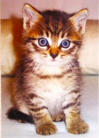 7854b463-3eb0-4efa-9780-075bf2ba3573 7854b463-3eb0-4efa-9780-075bf2ba3573